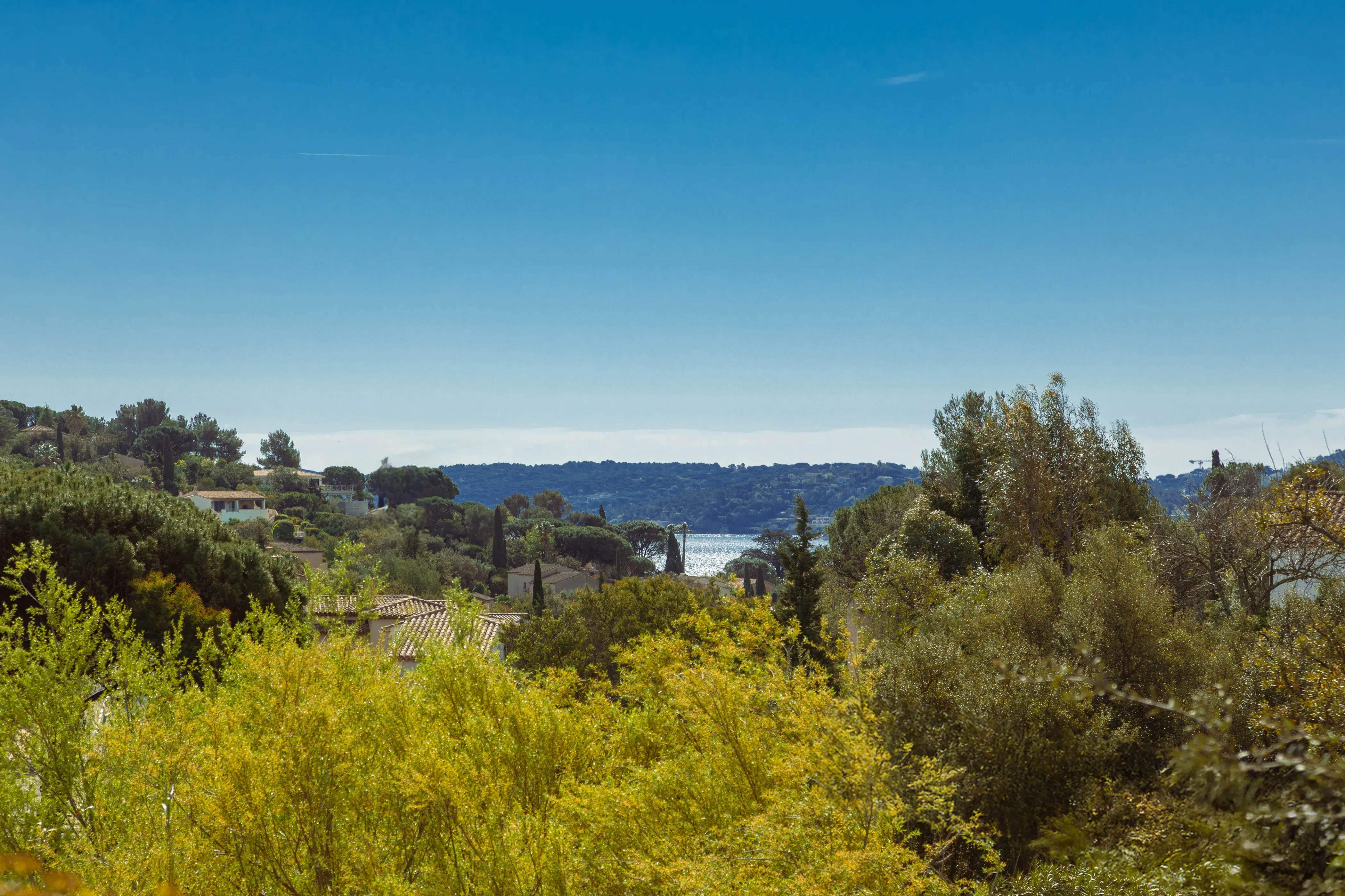 Vue dégagée sur le jardin méditerranéen